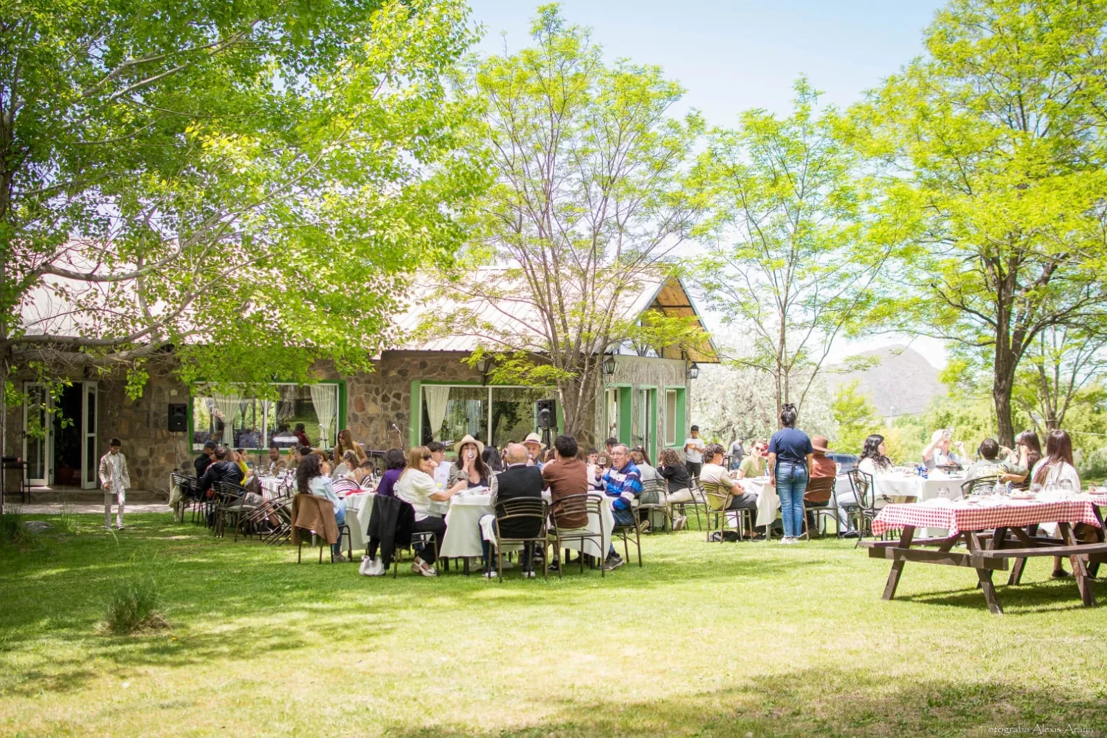 Almuerzo al aire libre en el parque